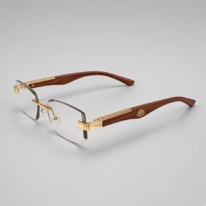 Reading Glasses in Bangladesh n 104 timber gold bifocal glasse (6)